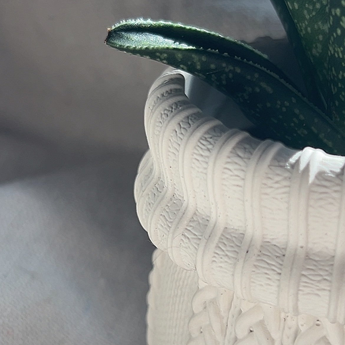 KNIT - Cache-pot cactus ou petites plantes
