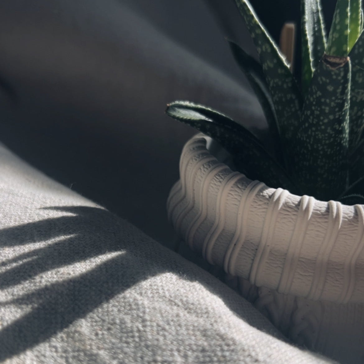 KNIT - Cache-pot cactus ou petites plantes