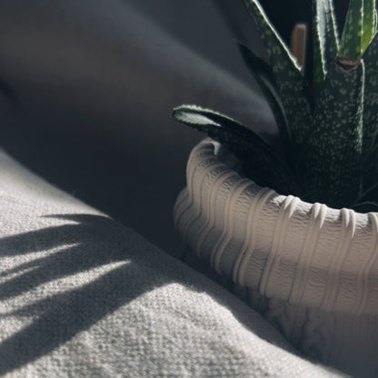 KNIT - Cache-pot cactus ou petites plantes