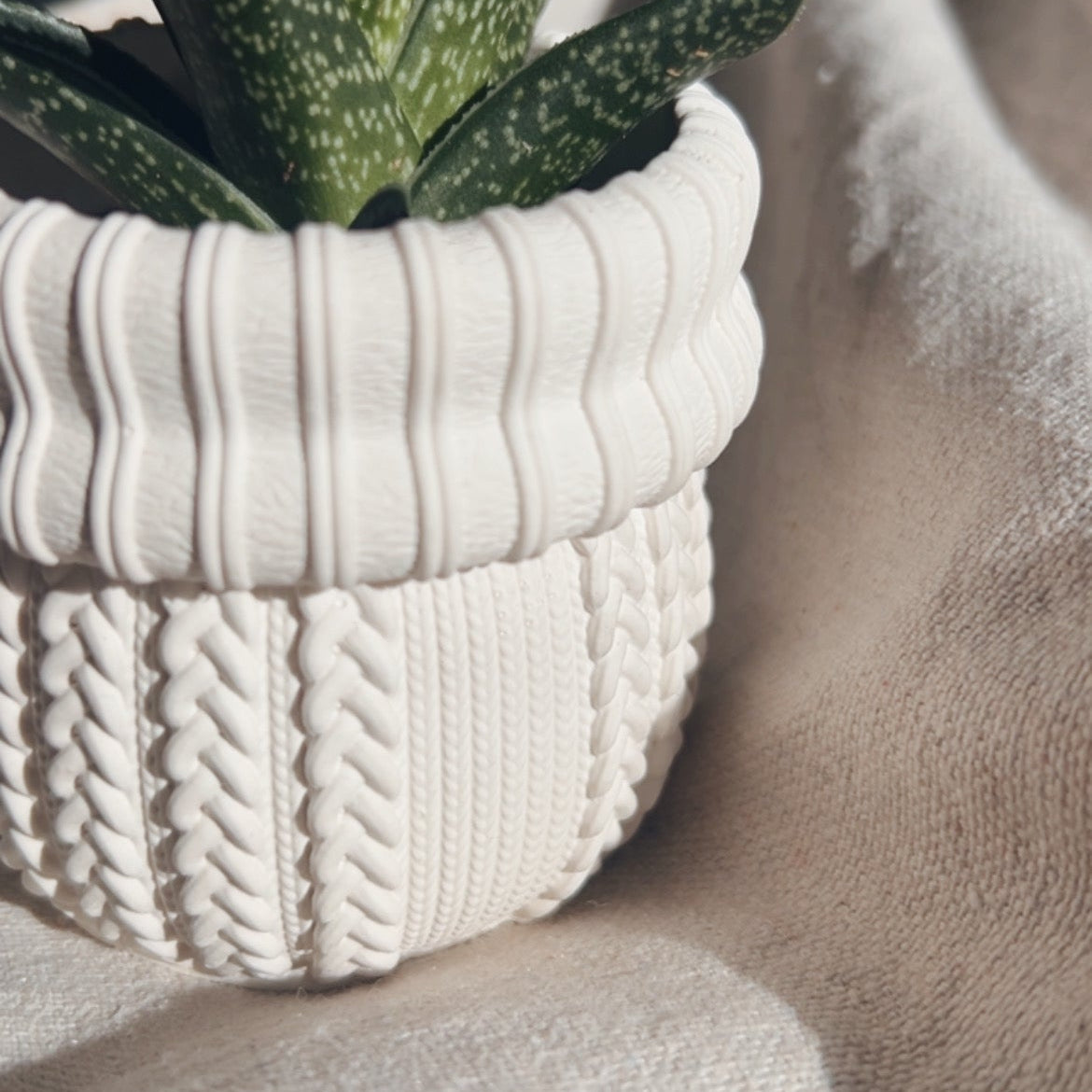 KNIT - Cache-pot cactus ou petites plantes